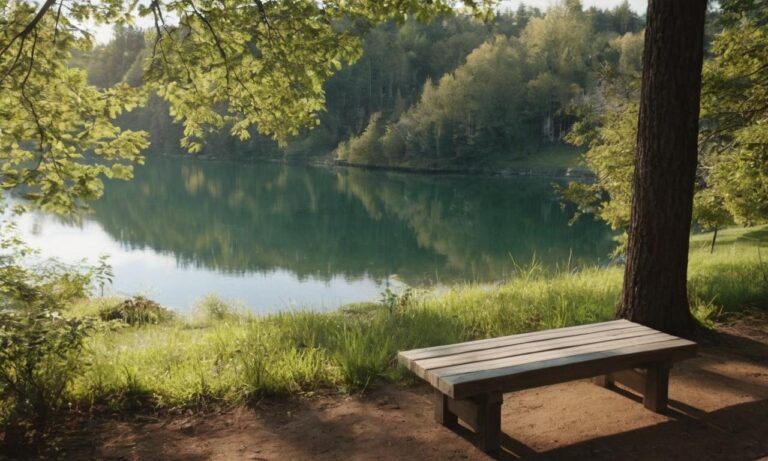 Bench - Wyjaśnienie działalności firmy