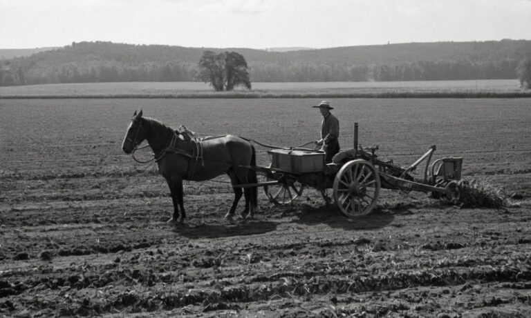 Co to jest gospodarka folwarczno-pańszczyźniana
