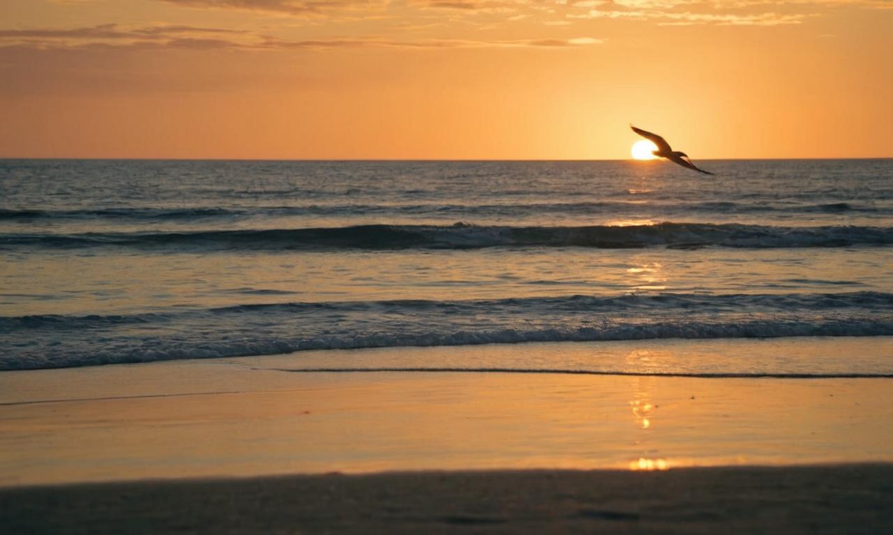 Dlaczego niebo jest niebieskie; a słońce o zachodzie czerwone